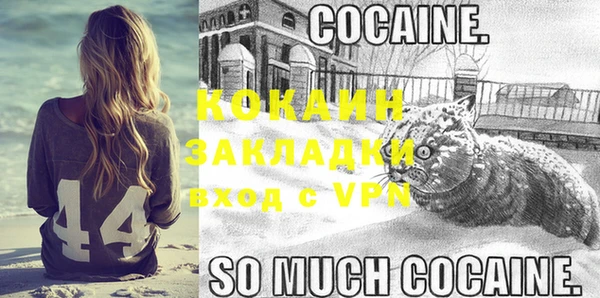 стаф Армянск