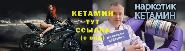 гидра Аркадак