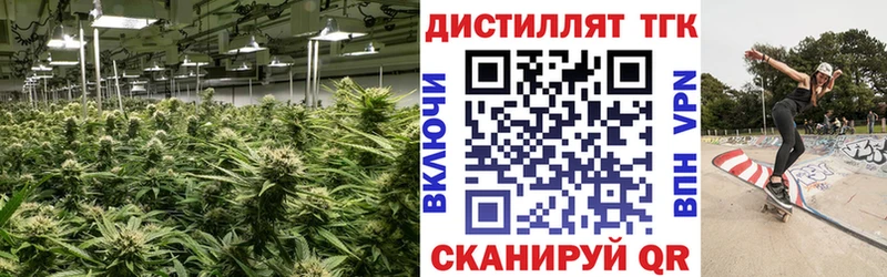 ТГК гашишное масло  Сергач 